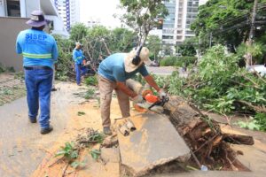 Com previsão de chuva até quinta-feira, Prefeitura mantém equipes trabalhando na remoção de árvores e atacando pontos críticos de alagamentos