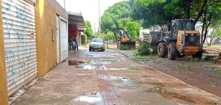 Prefeitura age contra alagamentos e remoção de árvores; chuva segue em Campo Grande