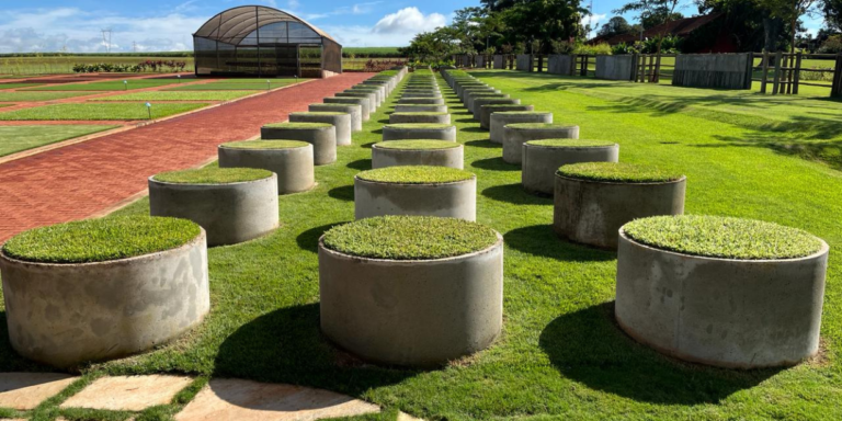 Líder em grama para estádios no Brasil, Itograss inaugura centro de pesquisa em SP