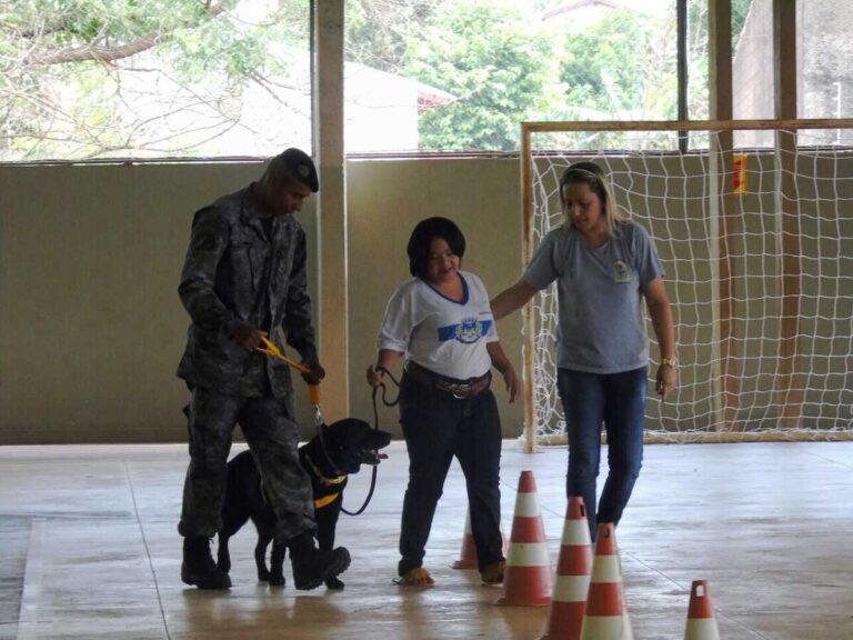 Projeto de Soraya reconhece cães policiais como agentes de segurança no País