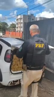 A atuação integrada entre a Polícia Civil e a Polícia Rodoviária Federal resultou, na última sexta-feira (17), na prisão de dois indivíduos e na apreensão de aproximadamente 1.064,75 quilos de maconha em Dourados. Pela Polícia Civil, participaram da ação o 1º Distrito Policial e a DEPAC de Dourados; pela PRF, atuou a Delegacia Especializada de Fronteira da PRF em Dourados, com apoio da Base FICCO/PR.

O trabalho conjunto teve início após informações de inteligência apontarem que um Fiat Uno, vindo de Ponta Porã para Dourados, transportava entorpecentes, enquanto um VW Gol, com placas de Campo Grande, atuava como batedor da carga.