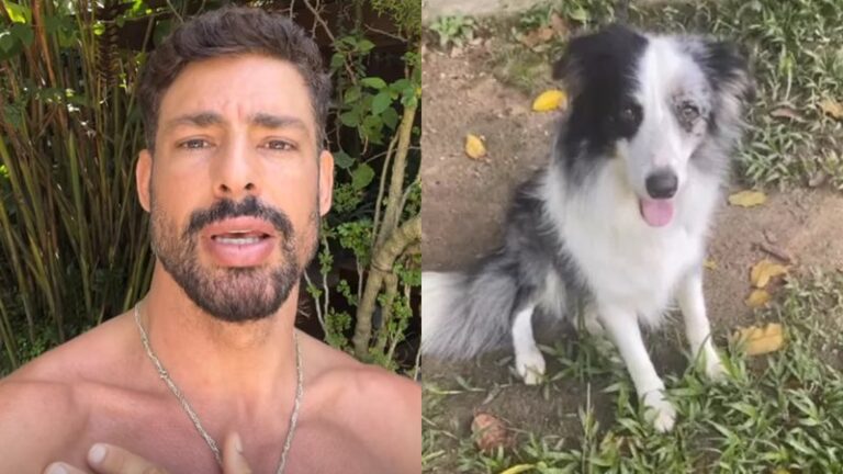 Após dura perda, Cauã Reymond revela estado de saúde de segundo cão envenenado