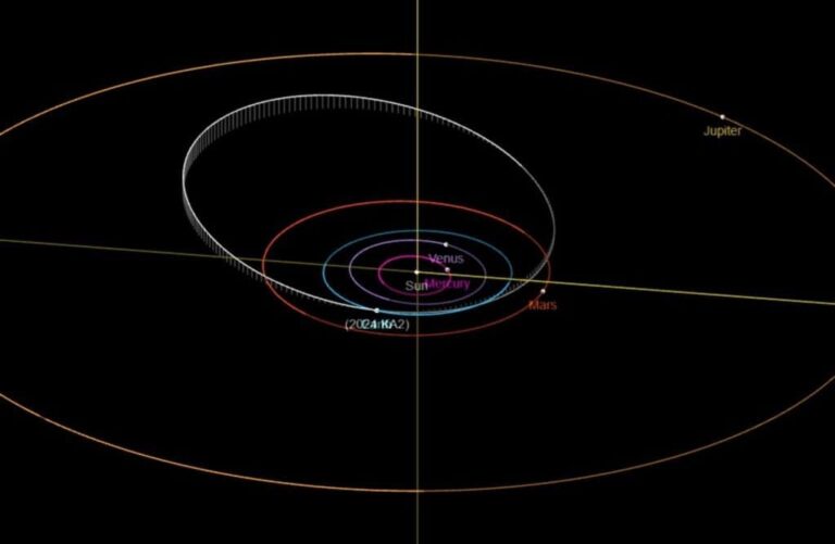 Órbita do asteróide 2024 KA2 (Crédito: JPL)