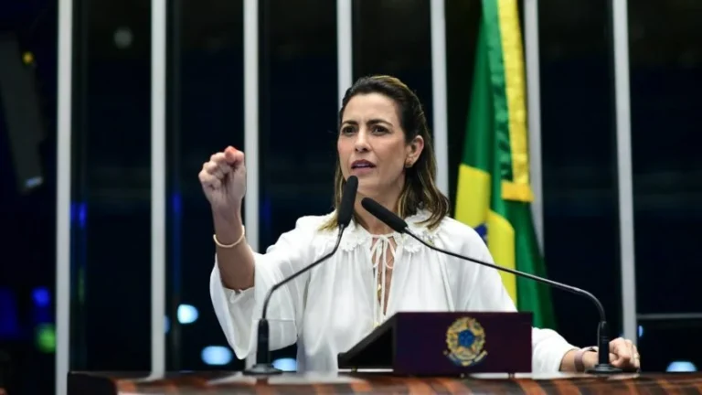 Bancada de MS se reunirá nos próximos dias para buscar soluções para o Pantanal, diz Soraya Thronicke