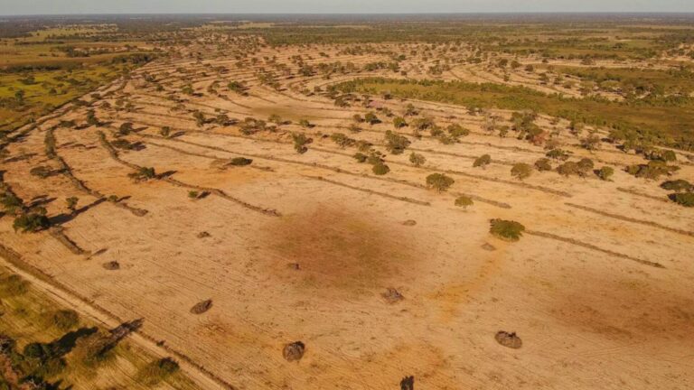 Desmatamento de reserva ambiental em fazenda no Pantanal vira alvo de investigação do MPMS