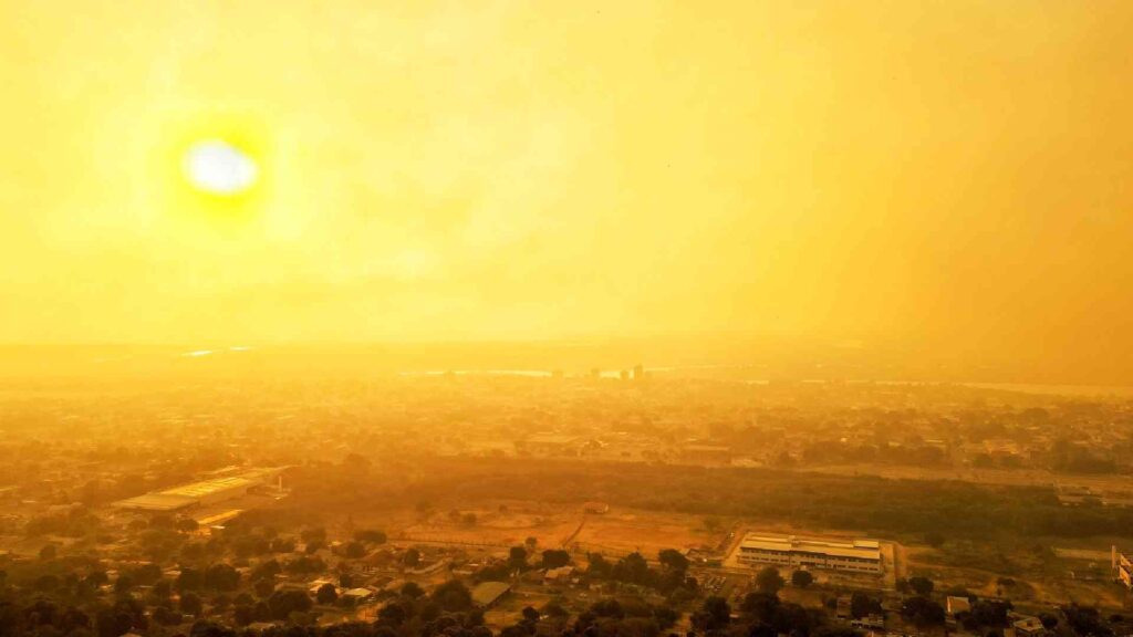 Evacuação e convocação de voluntários: Confira o que MS pode fazer durante a emergência dos incêndios