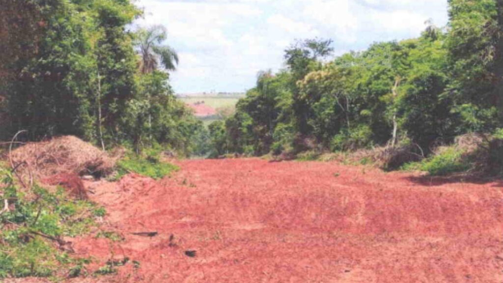 Fazenda de MS faz acordo com Ministério Público após desmatar área da Mata Atlântica