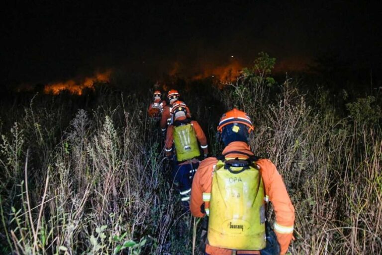 Governo de MS decreta situação de emergência em cidades afetadas por incêndios florestais