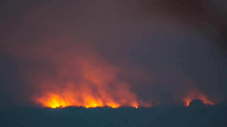 MS quer que emergência dos incêndios no Pantanal seja reconhecida pelo Governo Federal