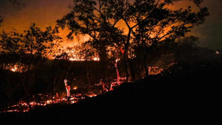 Municípios em ‘estado de emergência’ devem acionar Defesa Civil para intervenções