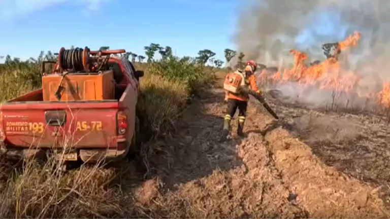 Para prevenir propagação de incêndios, Governo do Estado autoriza abertura de aceiros em vegetação no Pantanal