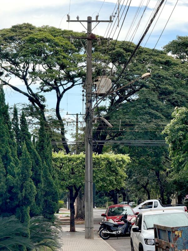 AGEMS promove evento para orientar Municípios do Cone Sul e fronteira sobre poda sustentável e segurança da rede elétrica