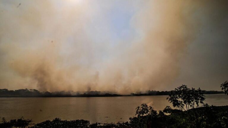 Estatuto para preservação do Pantanal é aprovado pela Comissão de Meio Ambiente no Senado