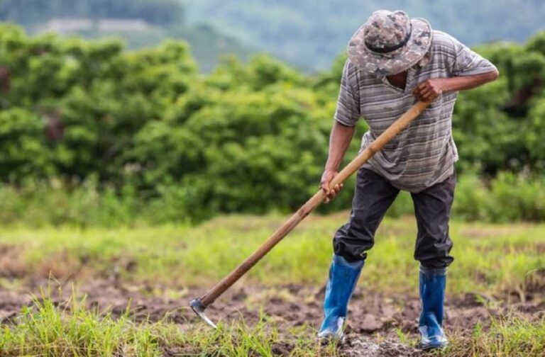 Gestão Riedel: investimento em agricultura familiar sobe 130% em edital da Fundtec