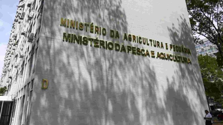 Ministério da Agricultura abre licitação para contratar serviços terceirizados em MS