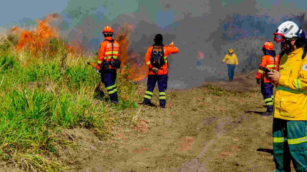 Pesquisadores questionam investigação sobre queima autorizada em fazenda no Pantanal em MS