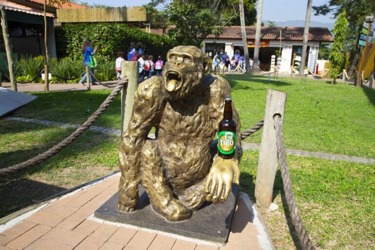 Saideira em memória do Macaco Tião: chimpanzé famoso é homenageado com nome de cerveja