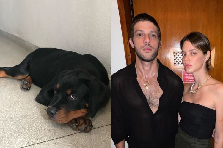 Chay Suede e Laura Neiva (Reprodução: Instagram)