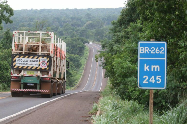 Governo e União discutem concessão das rodovias BR-262 e BR-267 em Mato Grosso do Sul