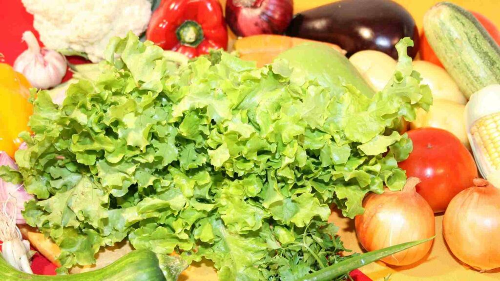 Hortifrútis para a merenda escolar custarão R$ 3,23 milhões para a Prefeitura de Campo Grande 