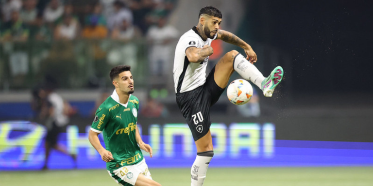 Palmeiras x Botafogo gera maior audiência da Globo em SP na Libertadores 2024