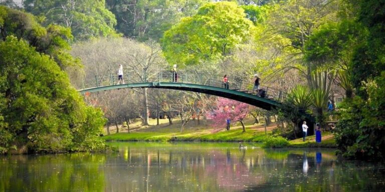 Parque Ibirapuera terá Arena Paralímpica e transmissões dos Jogos de Paris