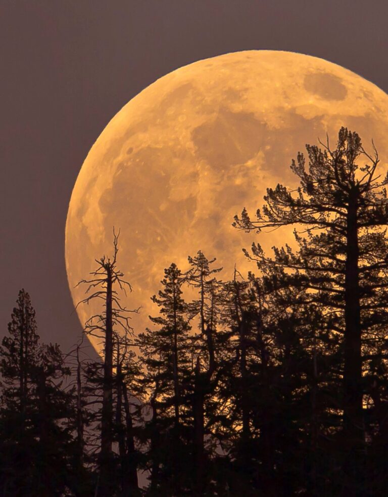 Superlua e a melhor chuva de meteoros do ano iluminam o céu de agosto