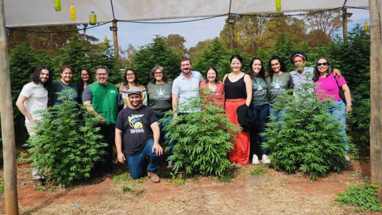 Vereadores de Campo Grande debatem uso de cannabis medicinal em audiência pública