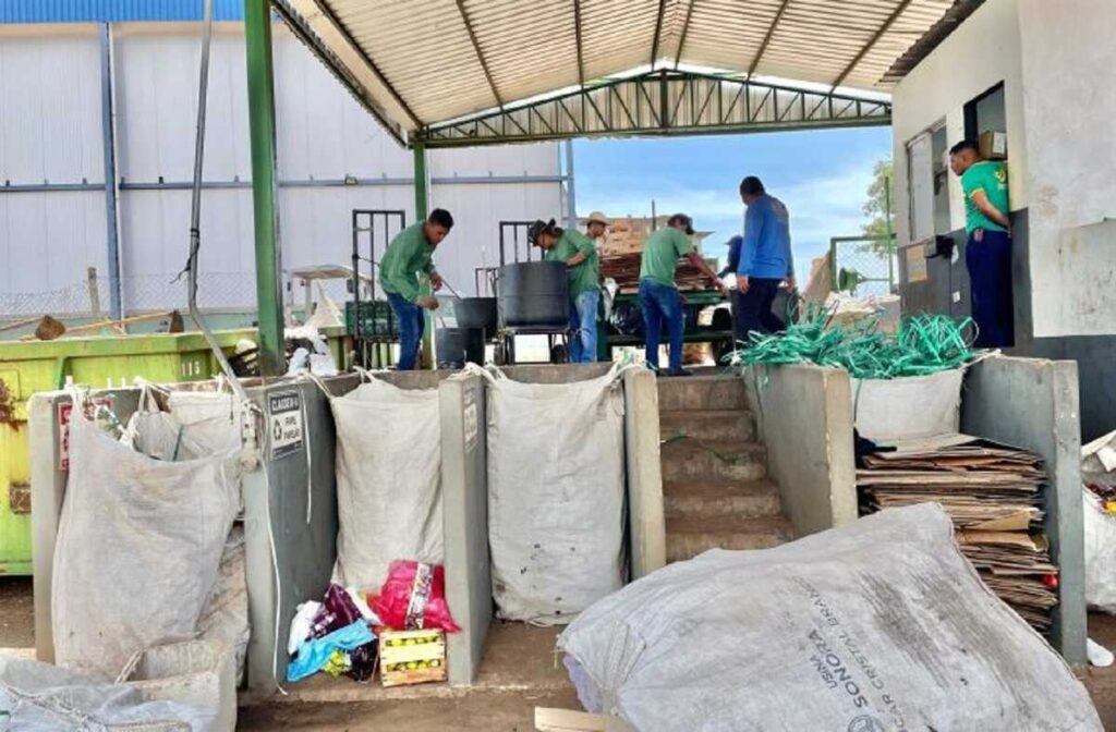 Ceasa-MS destina quase mil toneladas de alimentos ao ano para reaproveitamento