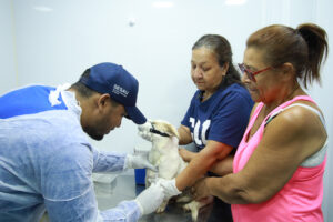 Sesau realiza plantão de vacinação contra a Raiva nesta quarta-feira (20)