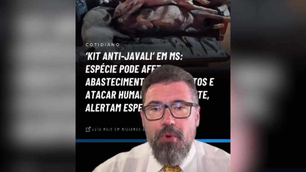 Deputado defende zerar ICMS de armas para manejadores de javalis em Mato Grosso do Sul