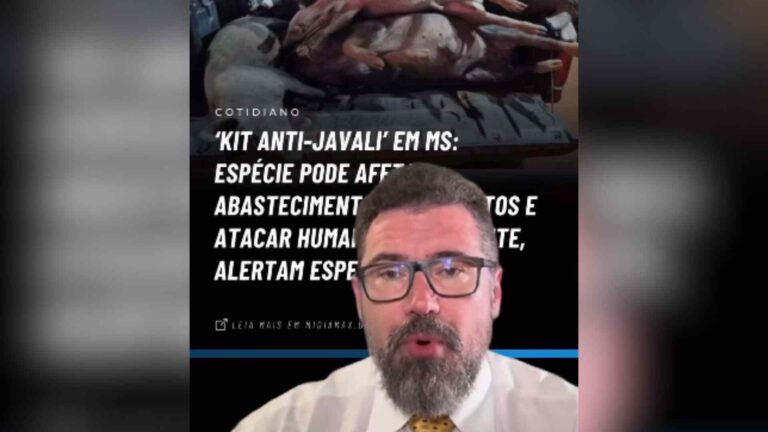 Deputado defende zerar ICMS de armas para manejadores de javalis em Mato Grosso do Sul