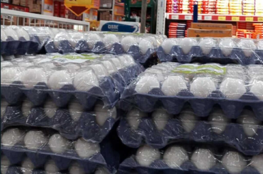 Preço do ovo dispara e cartela já chega a R$ '30tão' em Campo Grande