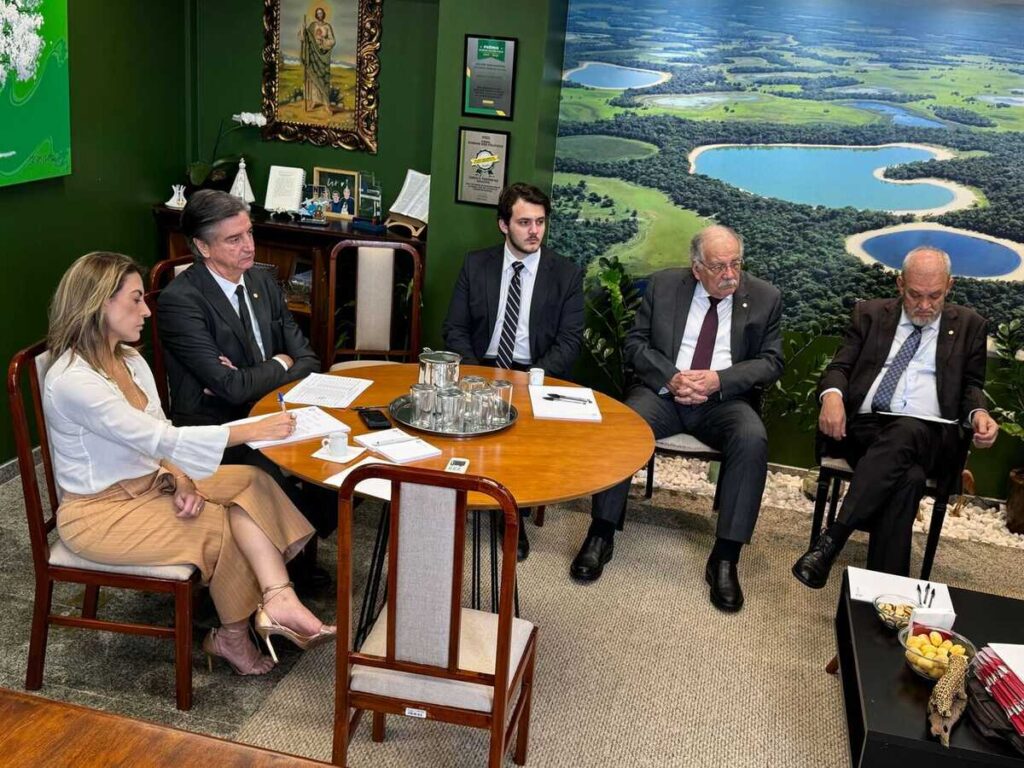 Bancada Federal de MS destina recursos para Dourados em reunião coordenada por Soraya Thronicke