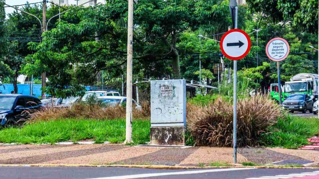 mato campo grande