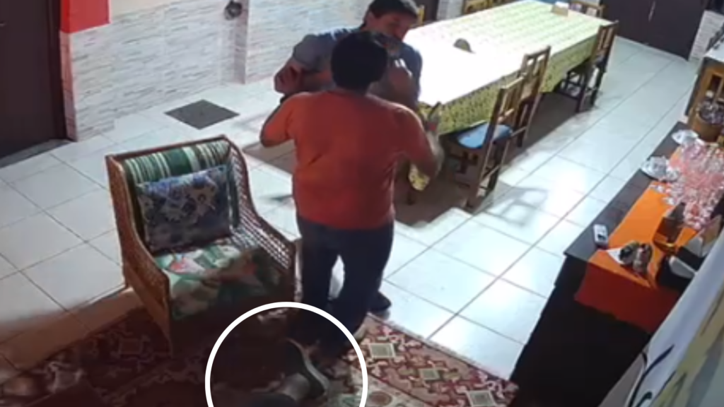 VÍDEO: Vereador tenta agredir prefeito de MS durante discussão sobre projeto de lei
