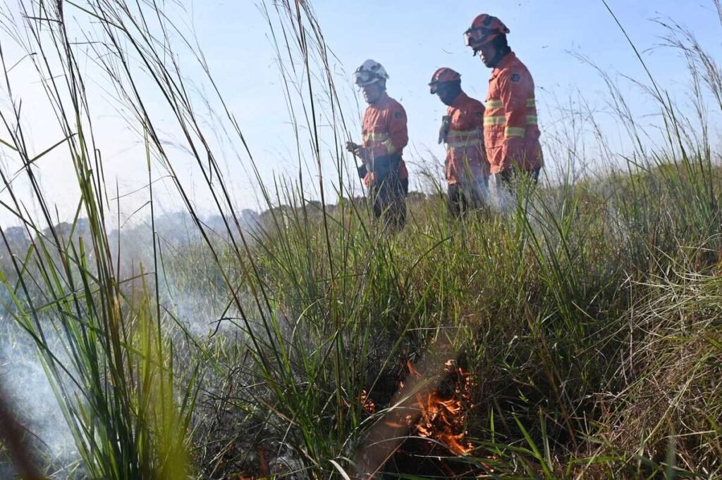 Inédito! Governo de MS faz queima prescrita para proteger parque e fazendas no Pantanal