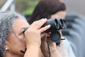 Passarinhada nesta segunda-feira avistou 48 espécies diferentes de aves em Campo Grande