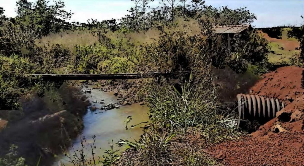 Alvo da PF por grilagem já respondia por desmatamento ilegal em área de vereda no Pantanal de MS